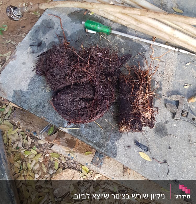 שורשים על הקרקע ליד צינורות וכלי עבודה